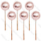 10Pcs Tassels Tail Balloons 16 Colors 22Inch Gold 4D Round Balloons with Tassel Tails for Birthday Baby Shower Wedding Decor